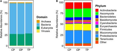 Comparative Metagenomics Reveals Microbial Signatures of Sugarcane Phyllosphere in Organic Management